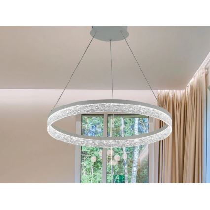 LED Dimmable Cable Pendant Light ALIANZ LED/45W/230V 3000-6000K Ø 60 cm + Remote Control