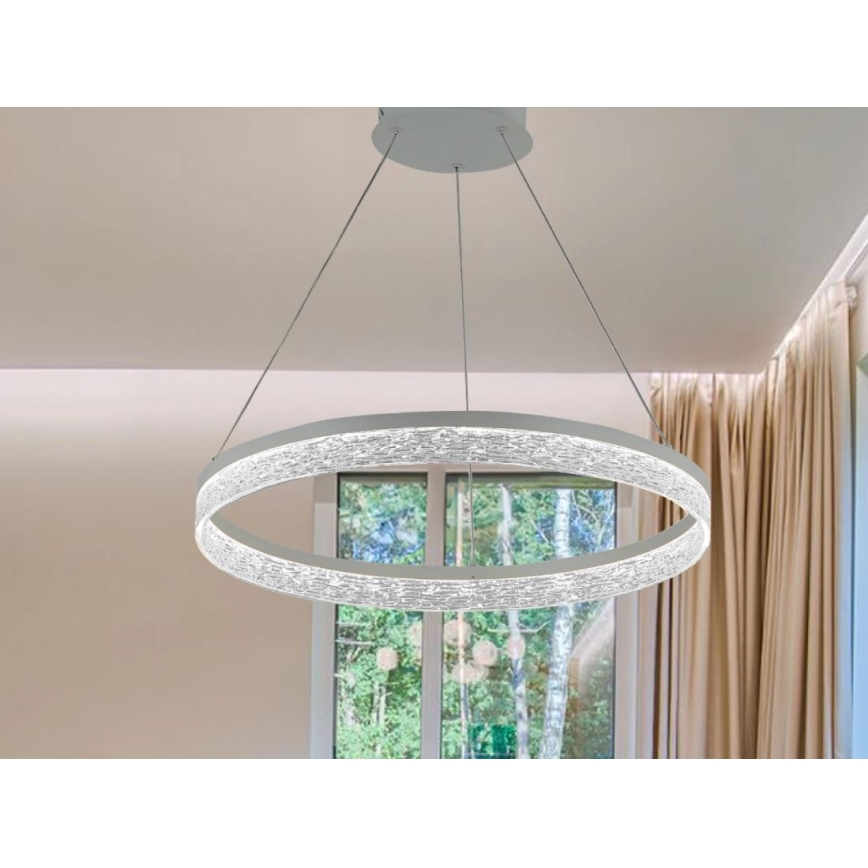 LED Dimmable Cable Pendant Light ALIANZ LED/45W/230V 3000-6000K Ø 60 cm + Remote Control
