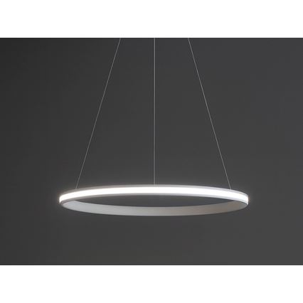 Dimmable LED pendant light suspended on cable LED/55W/230V 3000–6500K Ø 60 cm + remote control