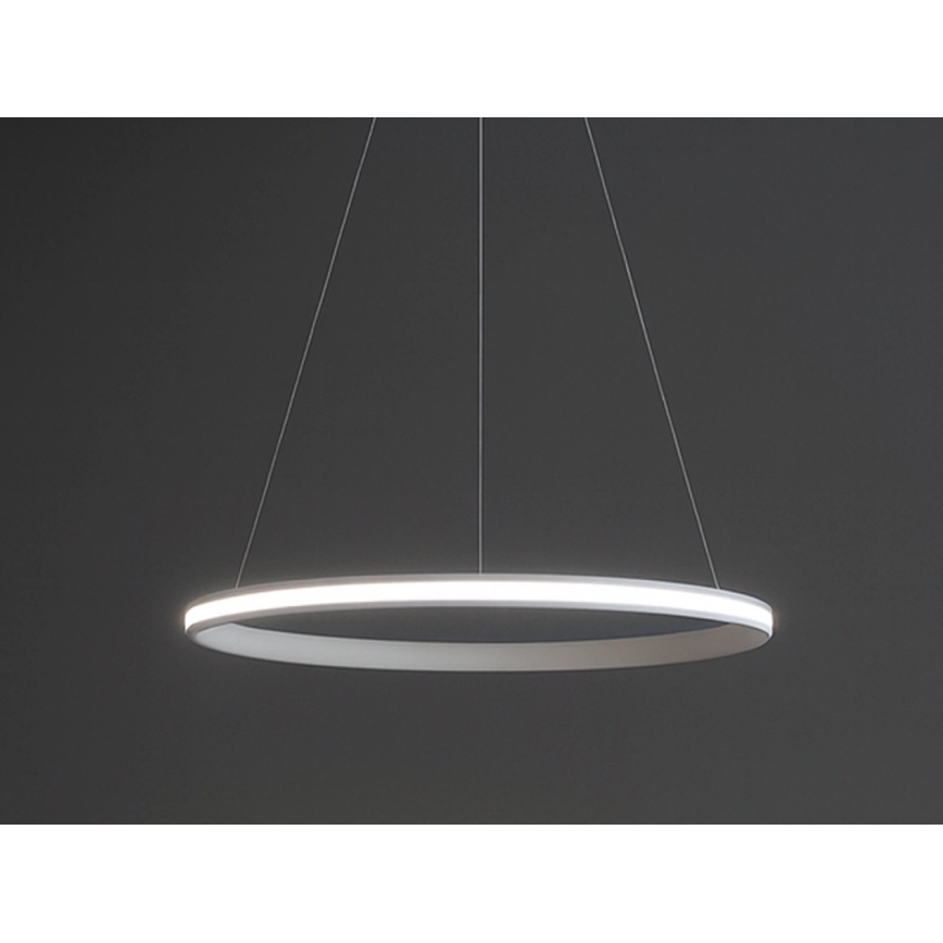 Dimmable LED pendant light suspended on cable LED/55W/230V 3000–6500K Ø 60 cm + remote control