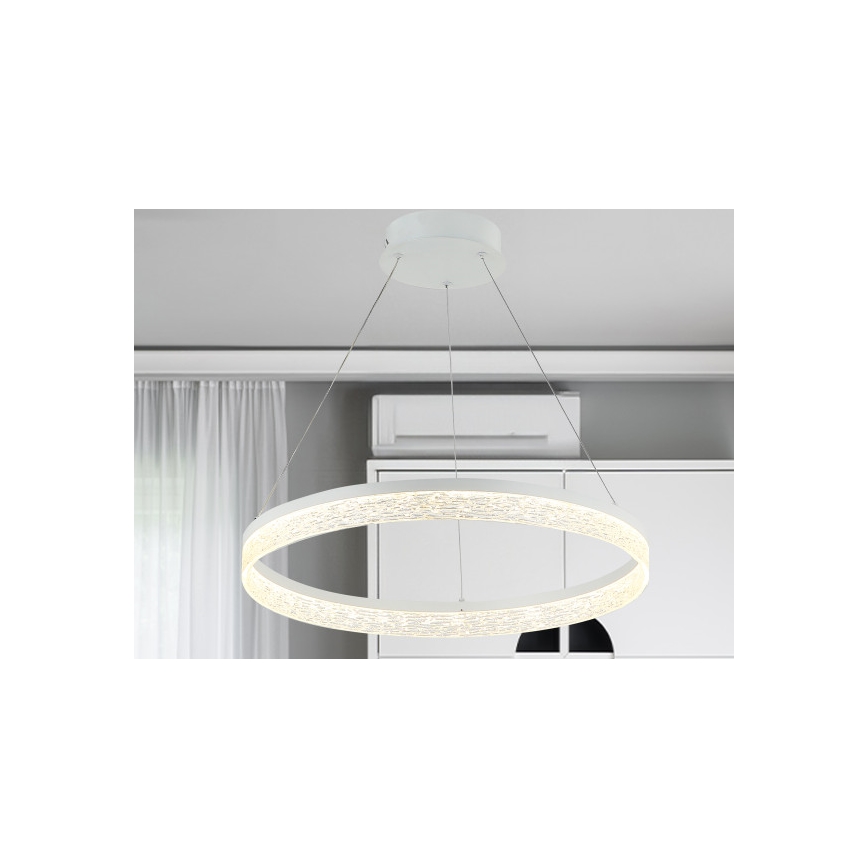 LED Dimmable Cable Pendant ALIANZ LED/60W/230V 3000-6000K Ø 80 cm + Remote Control