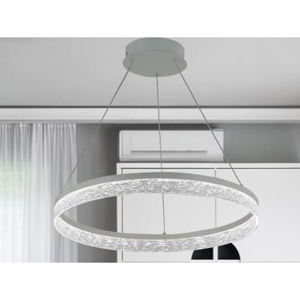 LED Dimmable Cable Pendant ALIANZ LED/60W/230V 3000-6000K Ø 80 cm + Remote Control