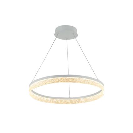 LED Dimmable Cable Pendant ALIANZ LED/60W/230V 3000-6000K Ø 80 cm + Remote Control