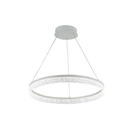 LED Dimmable Cable Pendant ALIANZ LED/60W/230V 3000-6000K Ø 80 cm + Remote Control