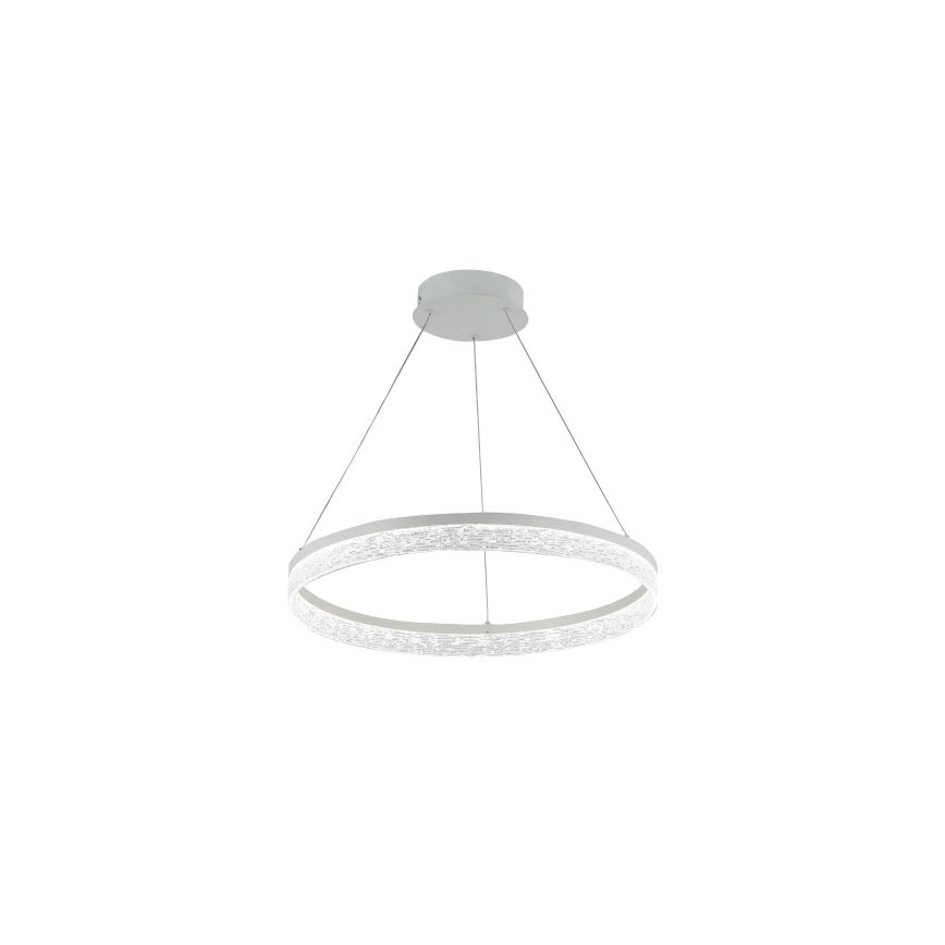 LED Dimmable Cable Pendant ALIANZ LED/60W/230V 3000-6000K Ø 80 cm + Remote Control