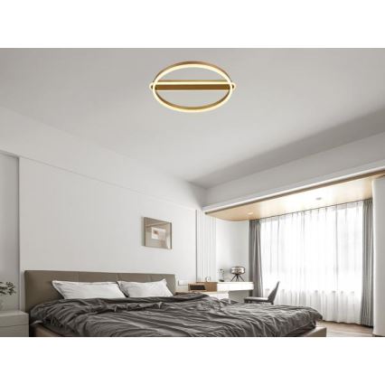 Dimmable LED Ceiling Light 60W/230V 3000-6500K + Remote Control