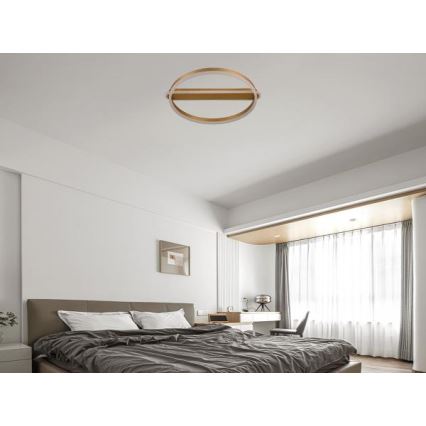 Dimmable LED Ceiling Light 60W/230V 3000-6500K + Remote Control