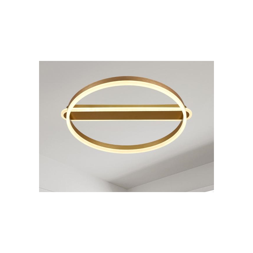 Dimmable LED Ceiling Light 60W/230V 3000-6500K + Remote Control