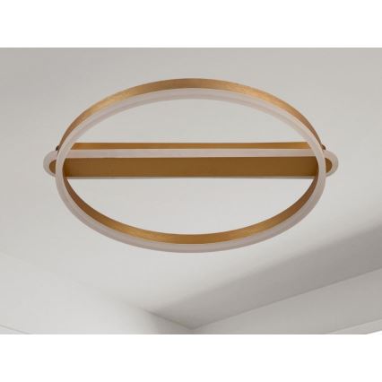 Dimmable LED Ceiling Light 60W/230V 3000-6500K + Remote Control