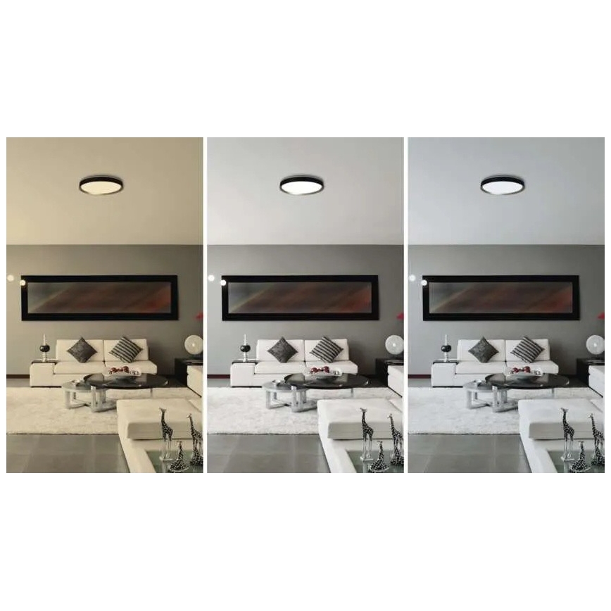 Dimmable LED ceiling light ILVI LED/30W/230V 2700-6500K Ø 40 cm black/brass + remote control