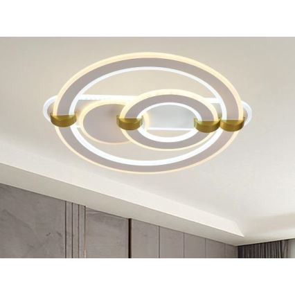 Dimmable LED Ceiling Light LED/120W/230V 3000-6500K + Remote Control