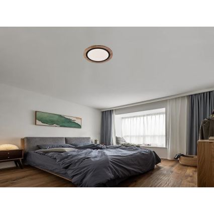Dimmable LED Ceiling Light LED/25W/230V 3000-6500K + Remote Control