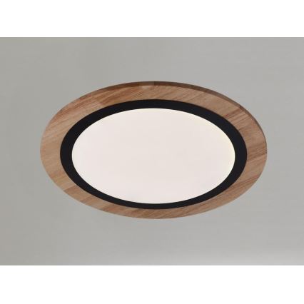 Dimmable LED Ceiling Light LED/25W/230V 3000-6500K + Remote Control