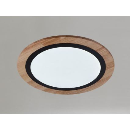 Dimmable LED Ceiling Light LED/25W/230V 3000-6500K + Remote Control
