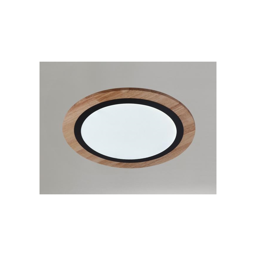 Dimmable LED Ceiling Light LED/25W/230V 3000-6500K + Remote Control