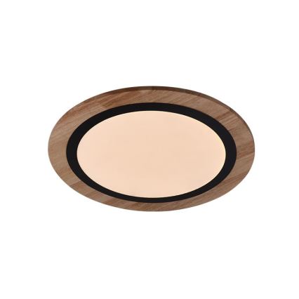Dimmable LED Ceiling Light LED/25W/230V 3000-6500K + Remote Control