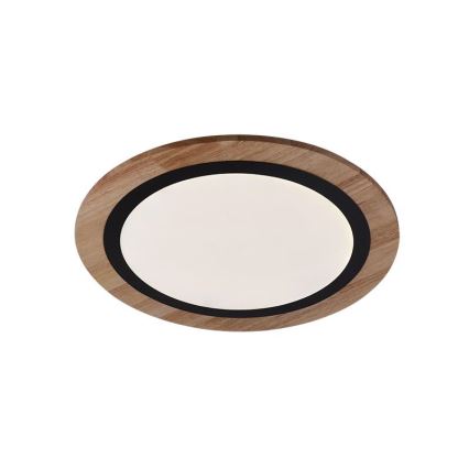 Dimmable LED Ceiling Light LED/25W/230V 3000-6500K + Remote Control