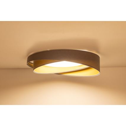 Dimmable LED Ceiling Light SMART GALAXY MODERN LED/24W/230V 3000–6500K Ø55 cm Grey/Gold + Remote Control