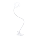 Dimmable LED clamp desk lamp LED/8W/230V 3000/4000/5000K white