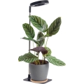 Dimmable LED Desk Lamp for Growing Plants VERDI LED/5W/5V 1300K CRI 95 černá