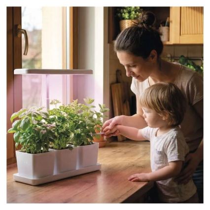 Dimmable LED Indoor Plant Grow Light GROW LED/7W/5V