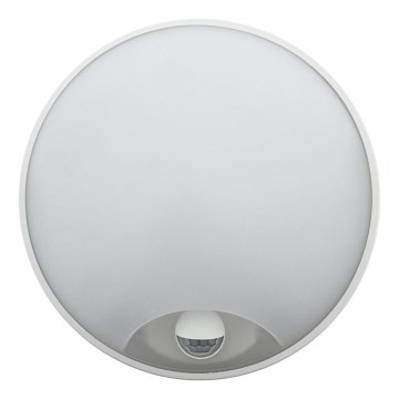 Dimmable LED outdoor wall light with motion sensor LED/15/18/20W/230V 3000K/4000K/6500K IP65 black/white