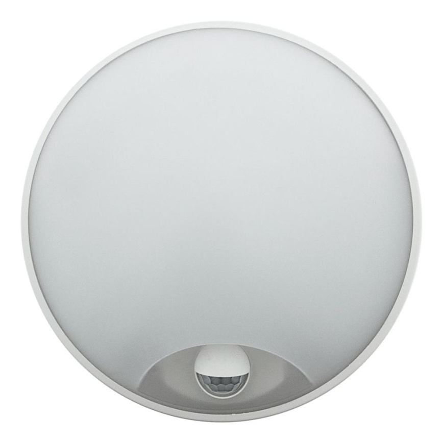 Dimmable LED outdoor wall light with motion sensor LED/15/18/20W/230V 3000K/4000K/6500K IP65 black/white