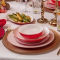 Dinner set 58 pcs white/red/porcelain