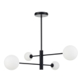 DORADO Rod Chandelier 4xG9/40W/230V Black