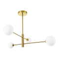 DORADO Rod Chandelier 4xG9/40W/230V Gold