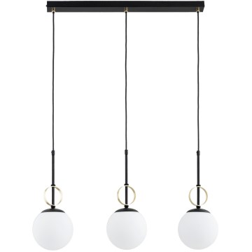 DORENA Cable Pendant Light 3xE14/10W/230V Black/Gold