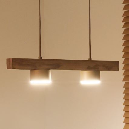Duolla - Cable-suspended pendant IRONLINE 2xGX53/3W/230V pine oak/beige