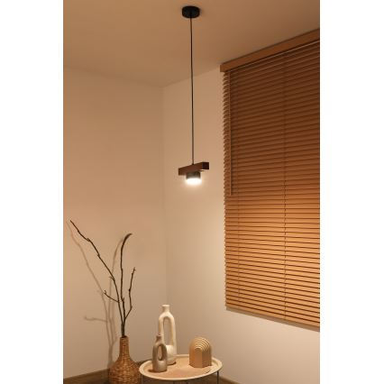 Duolla - Cable-Suspended Pendant Light IRONLINE 1xGX53/3W/230V Pine/Oak/Black