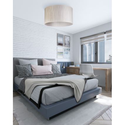 Duolla - Ceiling light ESSEX 1xE27/40W/230V d. 45 cm silver