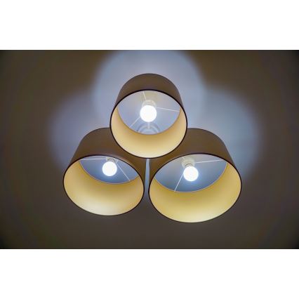 Duolla - Ceiling light ROLLER TRIO 3xE27/60W/230V brown