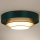 Duolla - LED Ceiling light LUNETA LED/26W/230V d. 60 cm 4000K green/gold/white