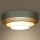 Duolla - LED Ceiling light LUNETA LED/26W/230V d. 60 cm 4000K turquoise/beige/creamy