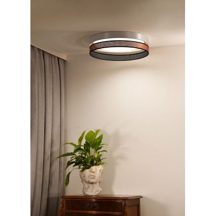 Duolla - LED Ceiling light ROLLER DUO SHINY LED/24W/230V d. 45 cm white/copper