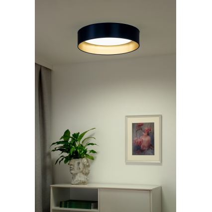 Duolla - LED Ceiling light ROLLER LED/24W/230V d. 45 cm blue/gold