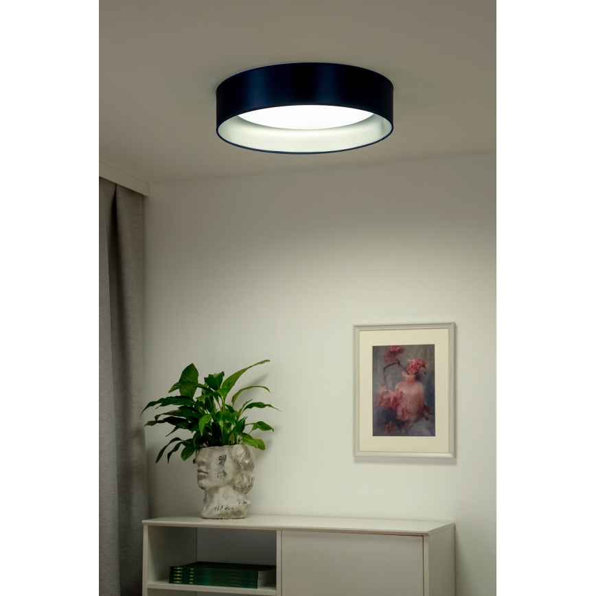 Duolla - LED Ceiling light ROLLER LED/24W/230V d. 45 cm blue/silver