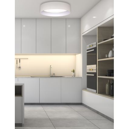 Duolla - LED Ceiling light ROLLER LED/24W/230V d. 45 cm creamy