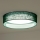Duolla - LED Ceiling light ROLLER LED/24W/230V d. 45 cm green