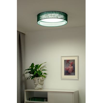 Duolla - LED Ceiling light ROLLER LED/24W/230V d. 45 cm green
