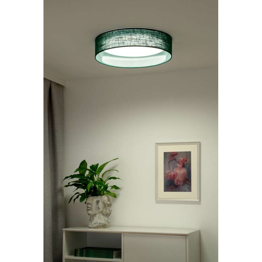 Duolla - LED Ceiling light ROLLER LED/24W/230V d. 45 cm green