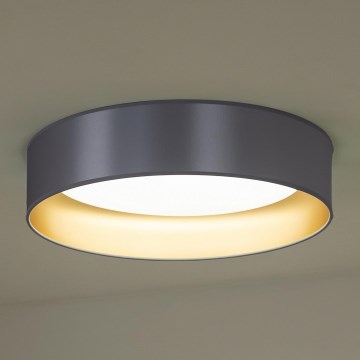 Duolla - LED Ceiling light ROLLER LED/24W/230V d. 45 cm silver/gold
