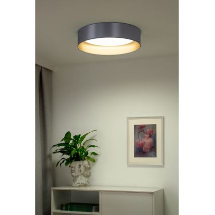 Duolla - LED Ceiling light ROLLER LED/24W/230V d. 45 cm silver/gold
