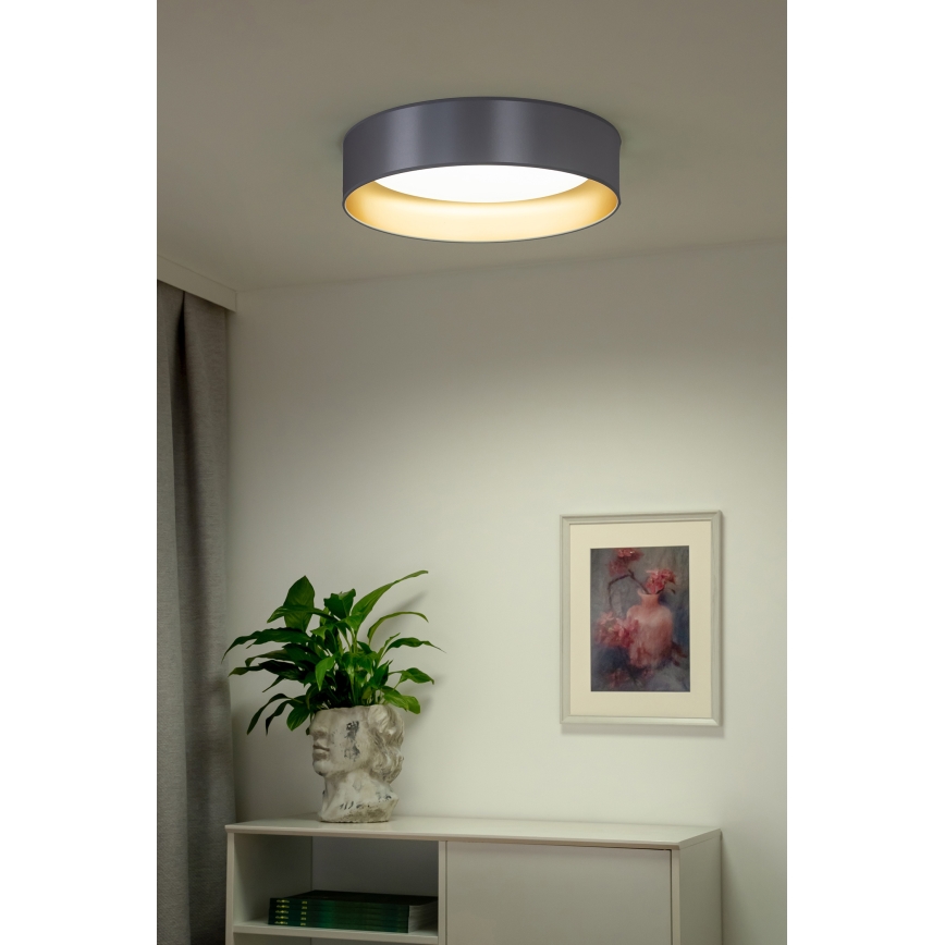 Duolla - LED Ceiling light ROLLER LED/24W/230V d. 45 cm silver/gold