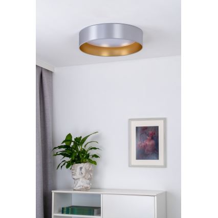 Duolla - LED Ceiling light ROLLER LED/24W/230V d. 45 cm silver/gold