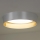 Duolla - LED Ceiling light ROLLER LED/24W/230V d. 45 cm silver/gold