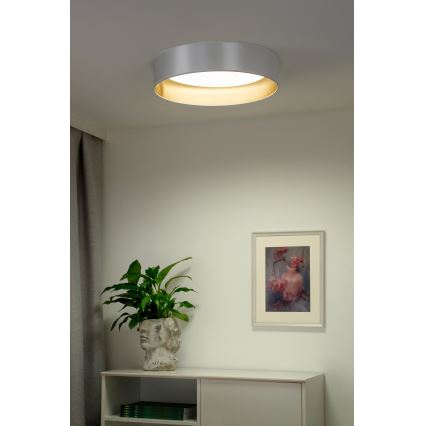 Duolla - LED Ceiling light ROLLER LED/24W/230V d. 45 cm silver/gold